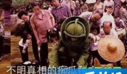 吃瓜群众合集全部免费观看,揭秘娱乐圈幕后故事